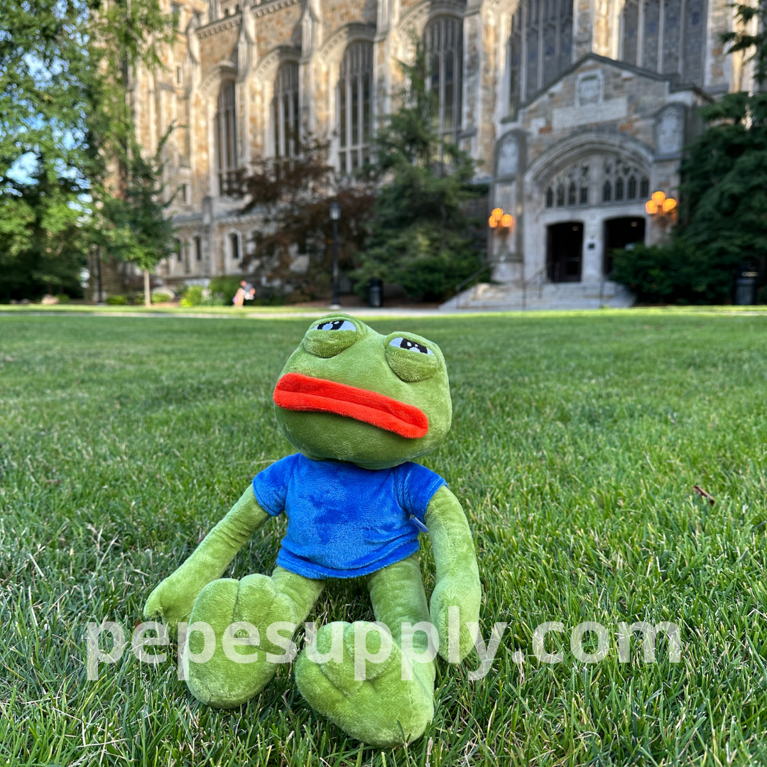 Pepe Plush - The Ultimate Sad Frog Toy Doll (17.7 Inch, Ultra Soft)