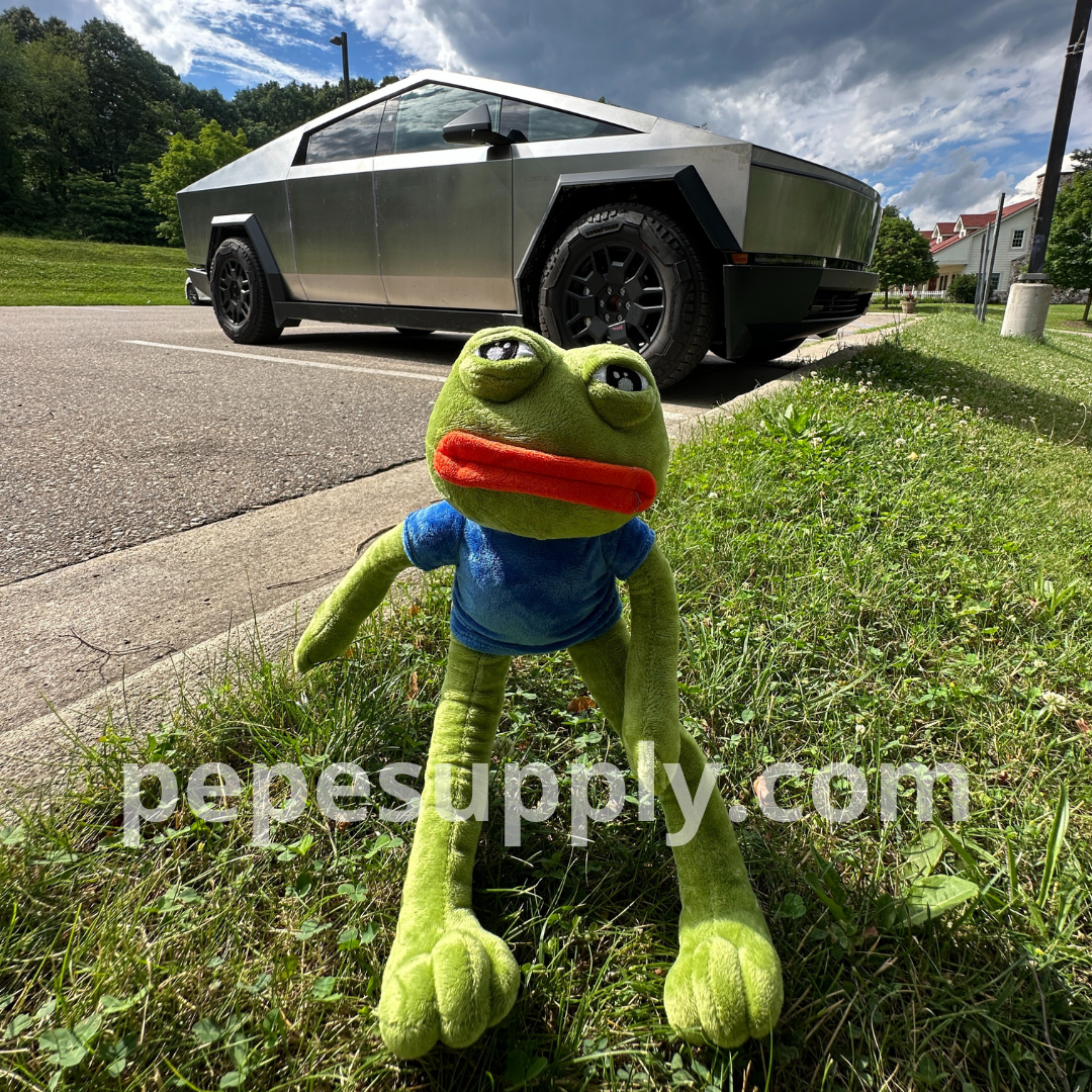 Pepe Plush - The Ultimate Sad Frog Toy Doll (17.7 Inch, Ultra Soft)